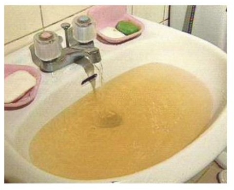 처리 전 수질